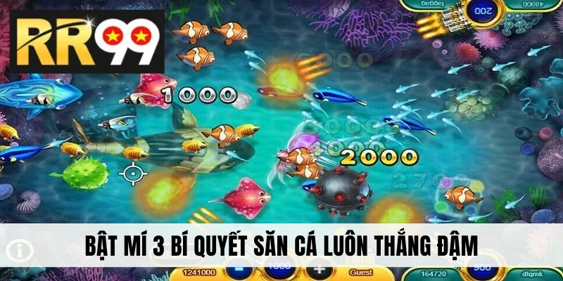 Bật mí 3 bí quyết săn cá luôn thắng đậm