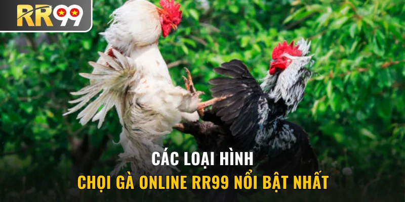 Các loại hình chọi gà online phổ biến