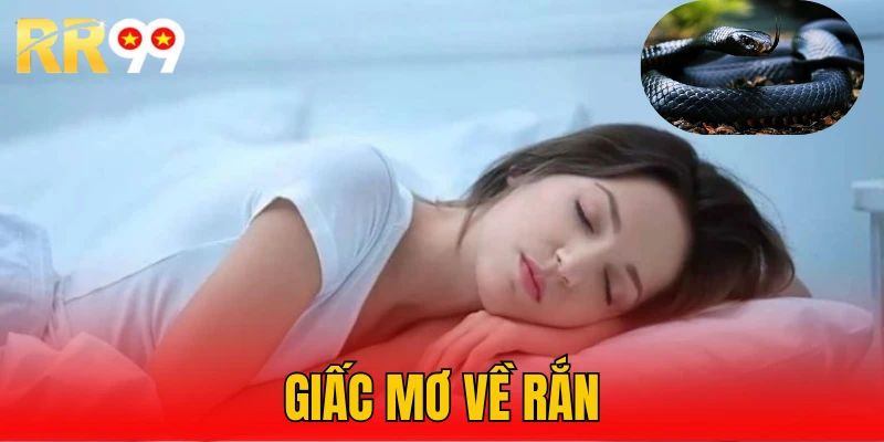 Giấc mơ về rắn tại rr99