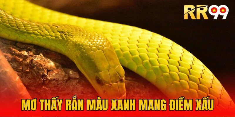 Bé na màu xanh lục nhắc nhở bạn nên cẩn trọng hơn