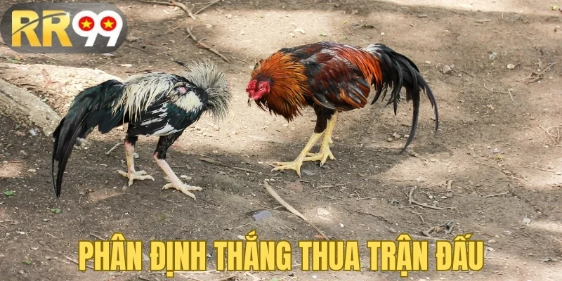 Phân định thắng thua trận đấu