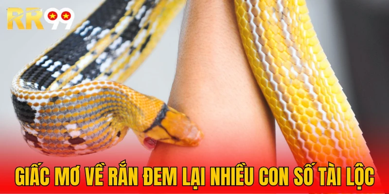 Con số dễ trúng khi nằm chiêm bao thấy rắn